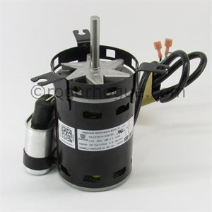 MOTEUR 115V